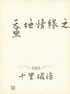 天地情缘之美人鱼