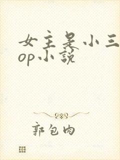 女主是小三的pop小说