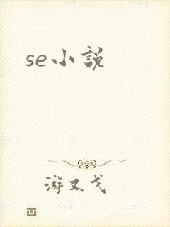 se小说
