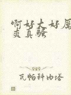 啊好大好厉害好爽真骚