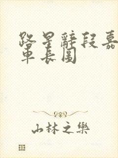 路星辞段嘉衍肉车长图