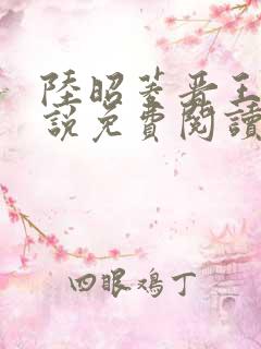 陆昭菱晋王的小说免费阅读