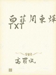 白菲周东烨小说TXT