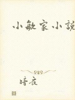 小敏家小说