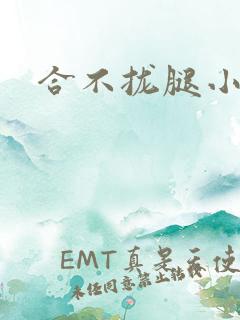 合不拢腿小说