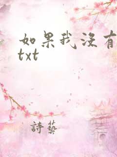 如果我没有爱过txt