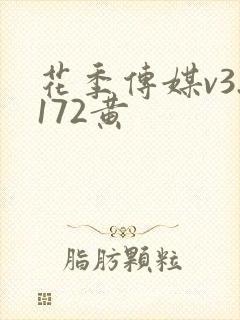 花季传媒v3.172黄