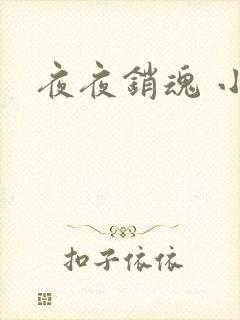 夜夜销魂 小说