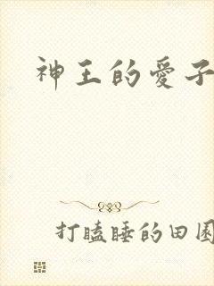 神王的爱子