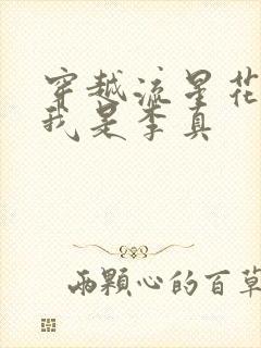 穿越流星花园之我是李真