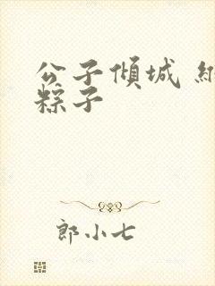 公子倾城 维和粽子