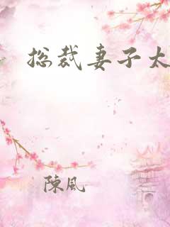 总裁妻子太诱人