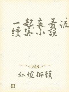 一起来看流星雨续集小说