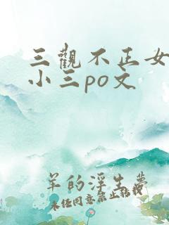 三观不正女主是小三po文