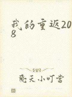 我的重返2008