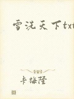 雪洗天下txt