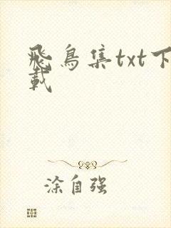 飞鸟集txt下载
