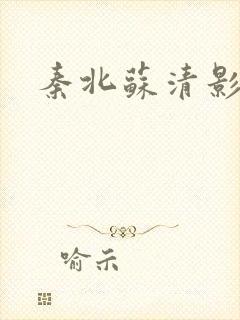 秦北苏清影小说