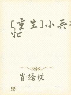 [重生]小兵很忙