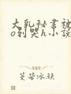 大乳秘书被cao到哭h小说