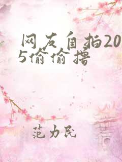 网友自拍2015偷偷撸