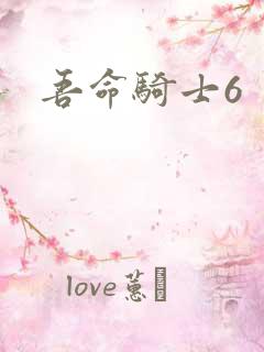 吾命骑士6