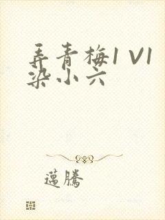 弄青梅1 V1染小六