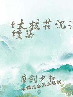 t大校花沉浮录续集