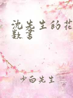 沈先生的花式调数书