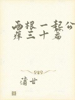 两根一起公憩止痒三十篇