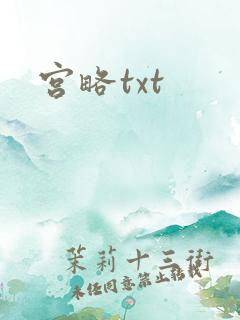 宫略txt