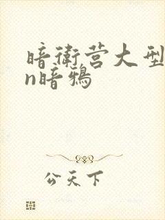 暗卫营大型hpn暗鸦