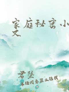 家庭秘密小说全文
