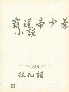 霸道帝少惹不得 小说