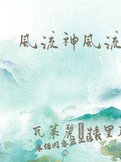 风流神风流记