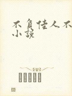 不负佳人不负卿小说