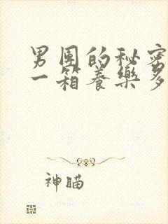 男团的秘密BY一箱养乐多小说