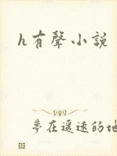 h有声小说