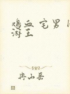 鸡血 宅男 网游王