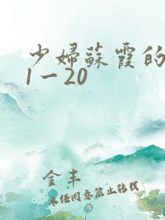 少妇苏霞的沉沦1一20