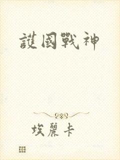护国战神