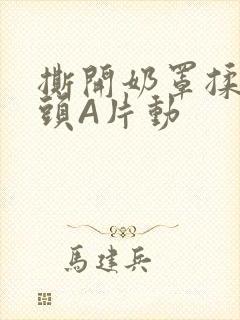 撕开奶罩揉吮奶头A片动