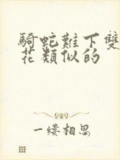 骑蛇难下双金银花类似的