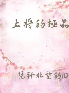 上将的极品宠妻