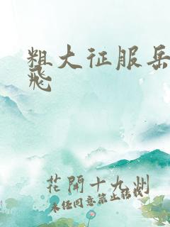 粗大征服岳女双飞