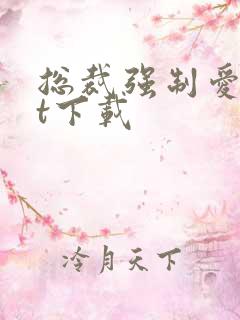 总裁强制爱txt下载