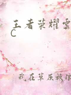 王者荣耀云缨被C