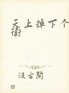 天上掉下个影卫卫