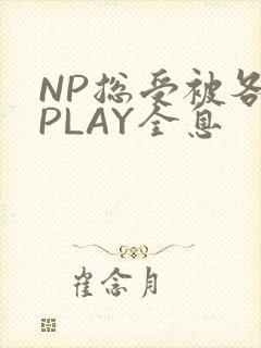 NP总受被各种PLAY全息