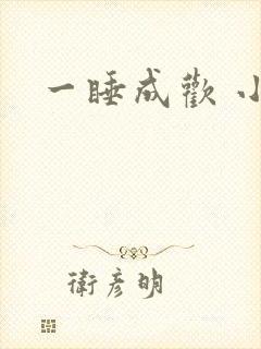 一睡成欢 小说